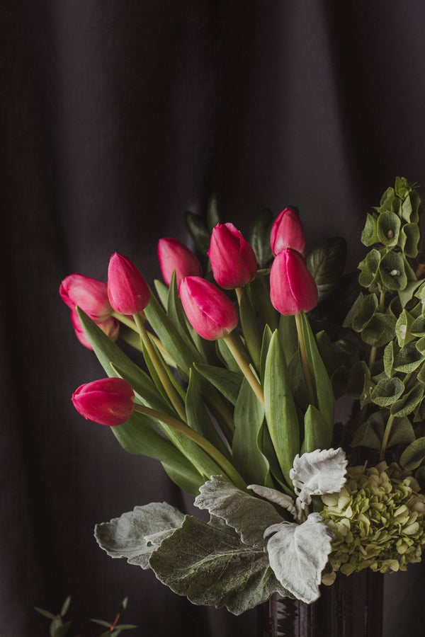 Los tulipanes y su cuidado