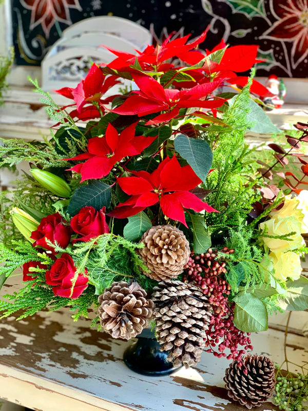 Nochebuena, en arreglo floral con variedad de pinos.