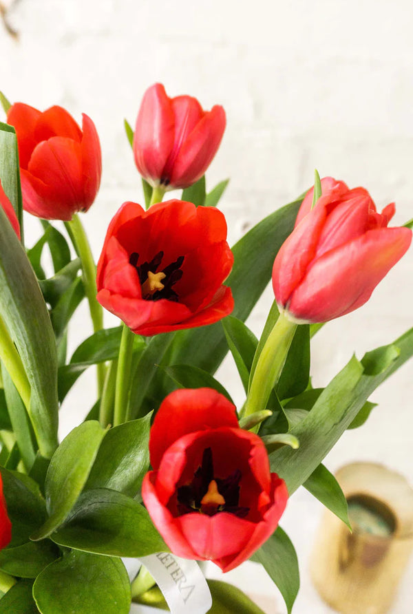 Lucy, hermoso arreglo floral con 10 tulipanes