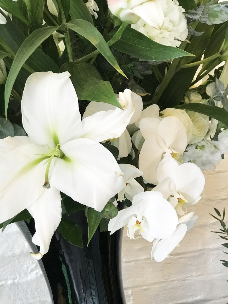 María, casa blanca y variedad de orquídeas